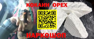 крисы Кунгур