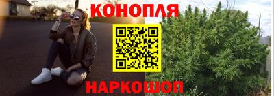 крисы Кунгур