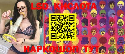 крисы Кунгур