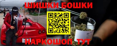 крисы Кунгур